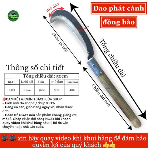 rựa | Ngha ca t Ra T in Vit