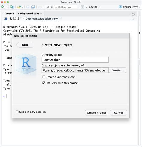 r - Unable to dockerize a RStudio Shiny project, error with …