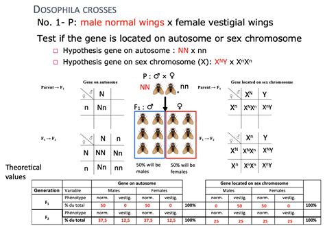 r Using chi square when expected value is 0 Cross Validated