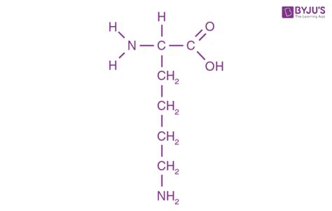 R Lysine