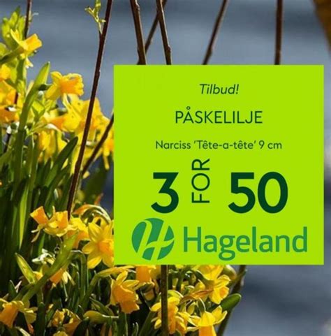 rabatt hageland