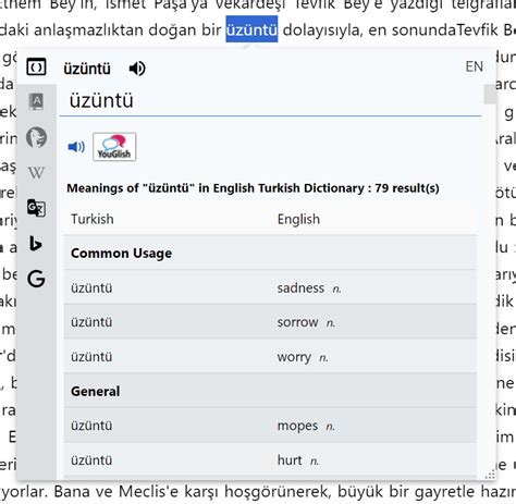 rabbit Turkish English Dictionary Tureng.