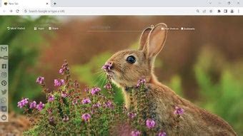 Rabbit Chrome Extension