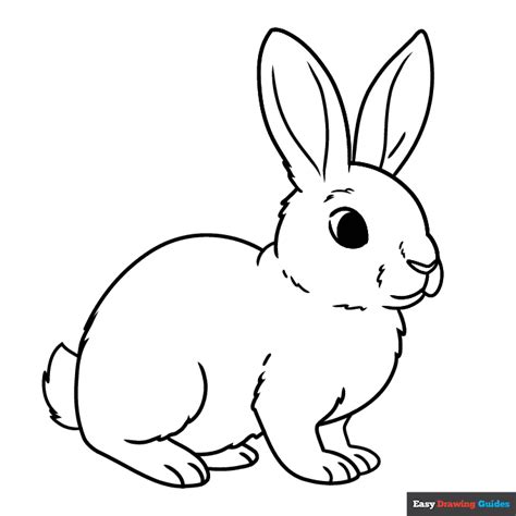 Rabbit Coloring Page Easy Drawing Guides Colouring Pages Of Rabbit - Colouring Pages Of Rabbit