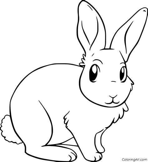 Rabbit Coloring Pages Coloringall Colouring Pages Of Rabbit - Colouring Pages Of Rabbit