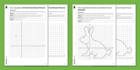 rabbit project coordinate algebra answers