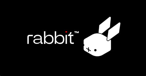 Rabbit R1 Setup