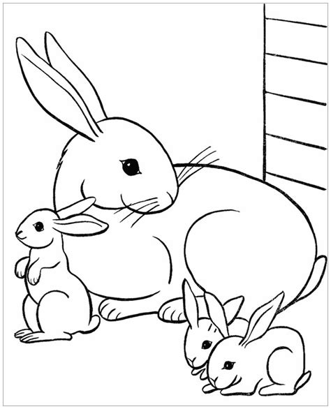 Rabbits Amp Bunnies Free Printable Coloring Pages For Colouring Pages Of Rabbit - Colouring Pages Of Rabbit