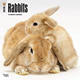 Full Download Rabbits 2018 12 X 12 Inch Monthly Square Wall Calendar Domestic Pet Animals Multilingual Edition 