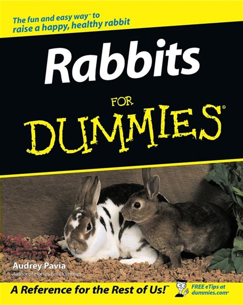 Read Rabbits For Dummies 