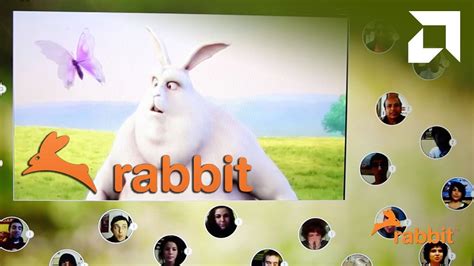 Rabbitvideochat