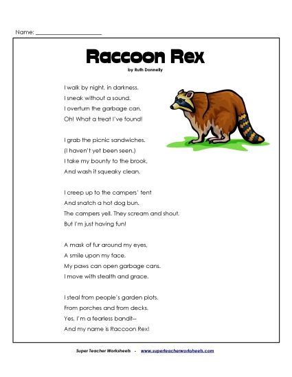 raccoon rex creative writing task