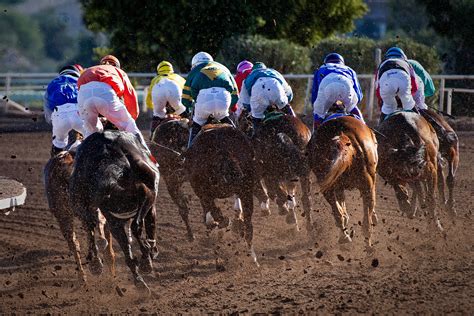race horse courses