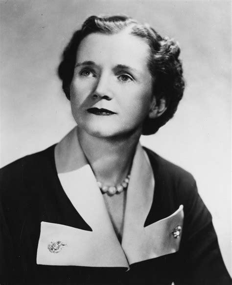 rachel carson biografie