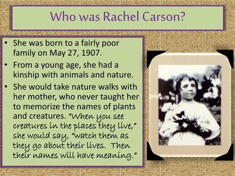 rachel carson biography summary example