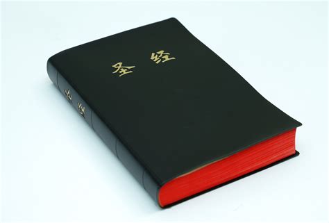 rachel in chinese bible