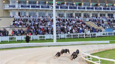 racing post greyhounds betting