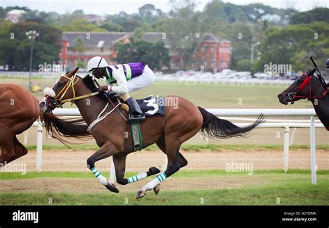 Racing Savannah