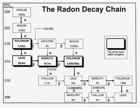 Radon Decay Chain