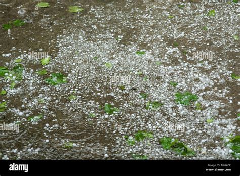 Rain And Hail