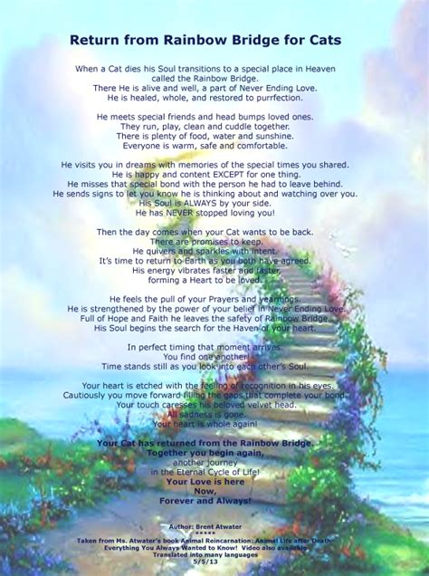 Rainbow Bridge For Cats