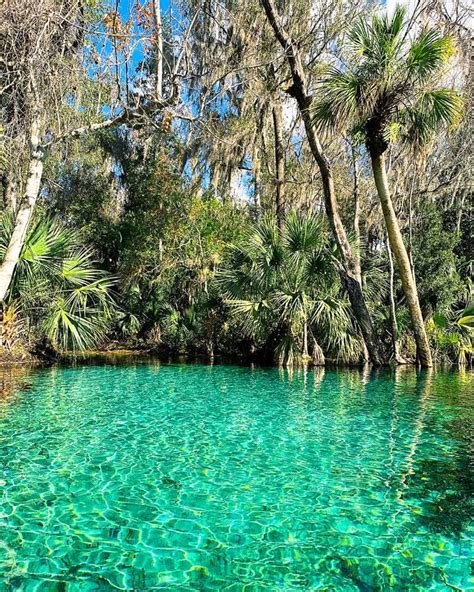 rainbow river florida
