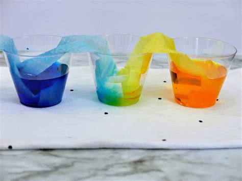 Rainbow Walking Water Science Experiment For Kids Rainbow Science Experiment Preschool - Rainbow Science Experiment Preschool