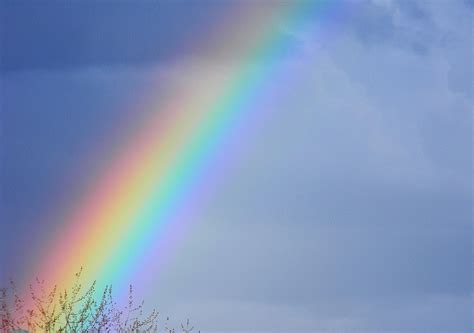 Read Online Rainbow 