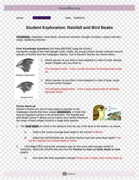 Rainfall And Bird Beaks Answer Key Gizmo
