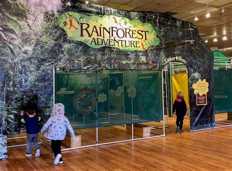 Rainforest Adventure At The Nc Museum Of Natural Rainforest Science Activities - Rainforest Science Activities