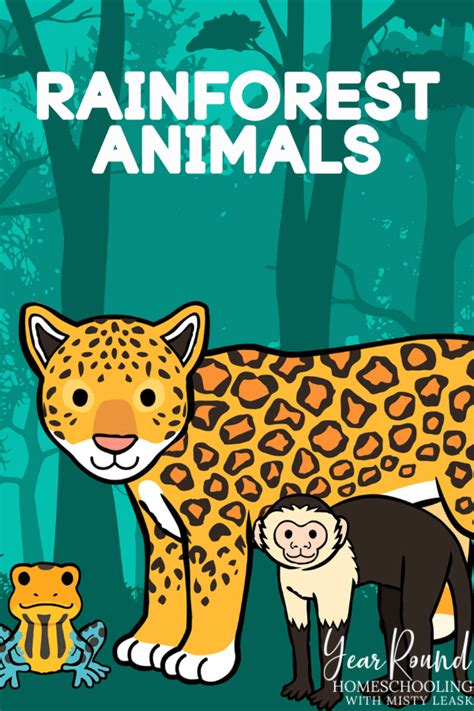Rainforest Animal Worksheets Year Round Homeschooling Rainforest Worksheets For Preschool - Rainforest Worksheets For Preschool