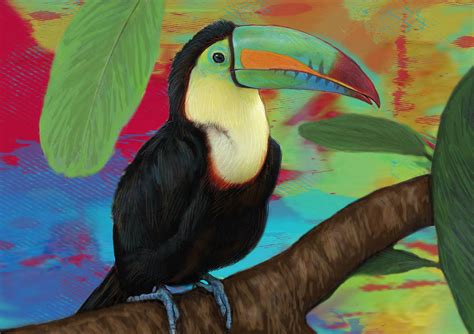 Rainforest Art Toucans Blog Rainforest Pictures To Colour - Rainforest Pictures To Colour