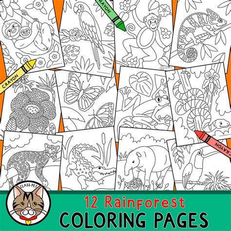 Rainforest Coloring Pages Made By Teachers Rainforest Trees Coloring Pages - Rainforest Trees Coloring Pages