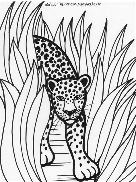 Rainforest Coloring Pages The Coloring Barn Rainforest Trees Coloring Pages - Rainforest Trees Coloring Pages