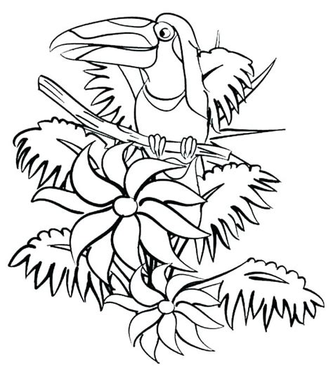 Rainforest Flowers Coloring Pages Getcolorings Com Rainforest Plant Coloring Pages - Rainforest Plant Coloring Pages