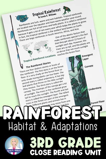 Rainforest Habitat And Adaptations For Third Grade Rainforest Lesson Plans For 3rd Grade - Rainforest Lesson Plans For 3rd Grade