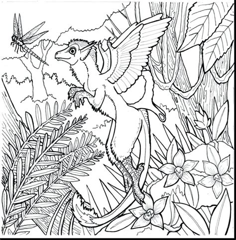 Rainforest Plants Coloring Pages Getcolorings Com Rainforest Plant Coloring Pages - Rainforest Plant Coloring Pages