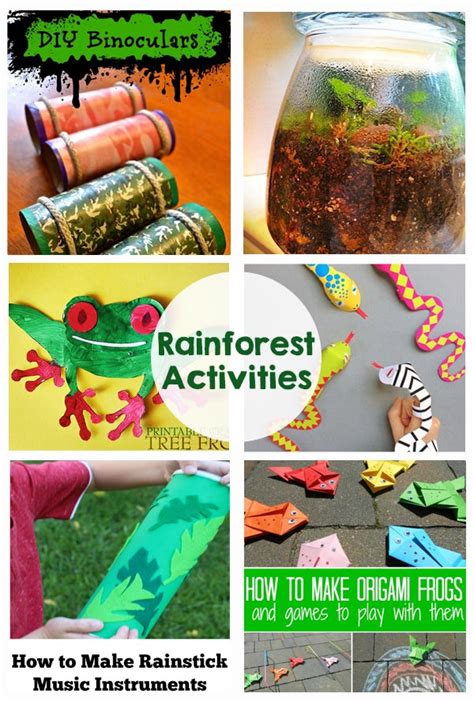Rainforest Science Activities For Kindergarten Amazing And Fun Rainforest Science Activities - Rainforest Science Activities
