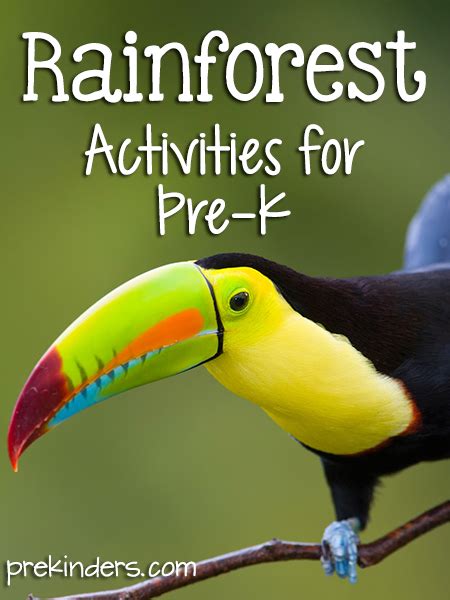 Rainforest Theme Prekinders Jungle Science Activities For Preschoolers - Jungle Science Activities For Preschoolers