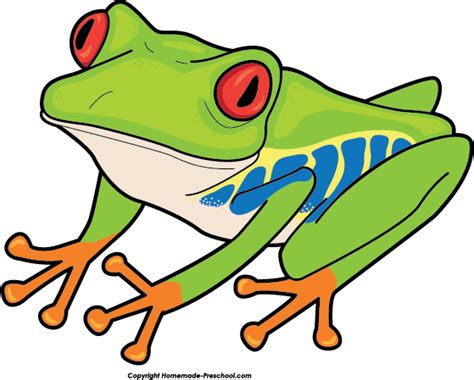 Rainforest Tree Frog Clip Art Image Clipsafari Rainforest Pictures To Print - Rainforest Pictures To Print