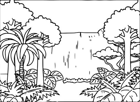 Rainforest Trees Coloring Pages Color On Pages Rainforest Trees Coloring Pages - Rainforest Trees Coloring Pages
