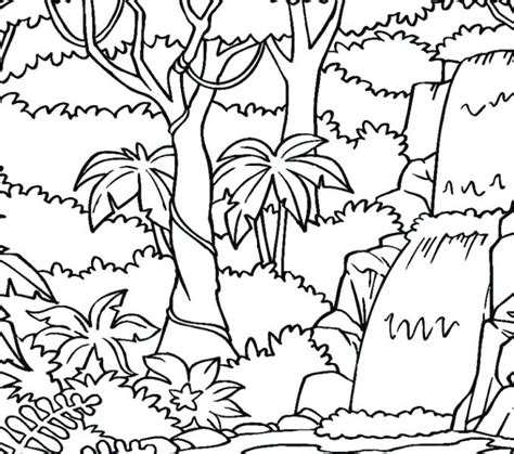 Rainforest Trees Coloring Pages Getcolorings Com Rainforest Plant Coloring Pages - Rainforest Plant Coloring Pages