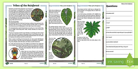 Rainforest Tribe Comprehension