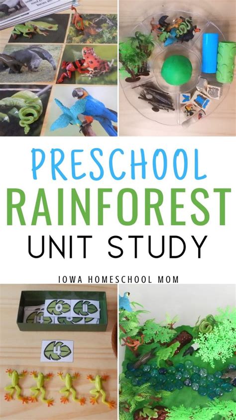 Rainforest Unit Homeschool Den Rainforest First Grade - Rainforest First Grade