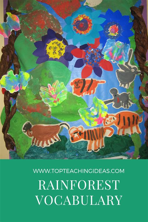 Rainforest Vocabulary Ideas For Your Pre School And Rainforest Kindergarten - Rainforest Kindergarten