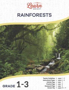 Rainforests Free Pdf Download Learn Bright Rainforest Lesson Plans For 3rd Grade - Rainforest Lesson Plans For 3rd Grade