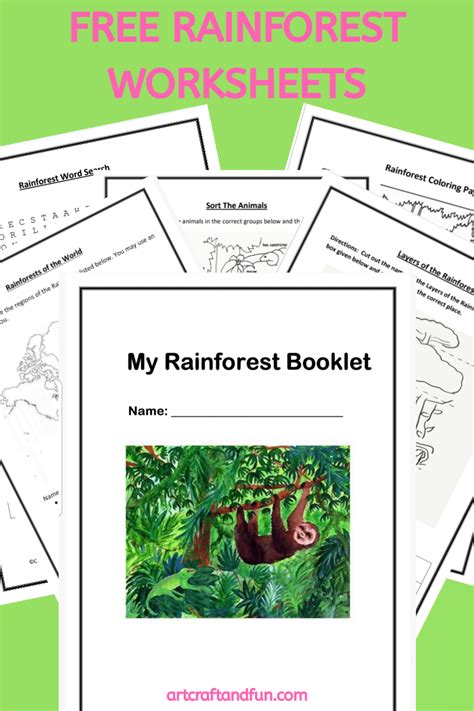Rainforests Fun In First Grade With Mrs Braun Rainforest First Grade - Rainforest First Grade