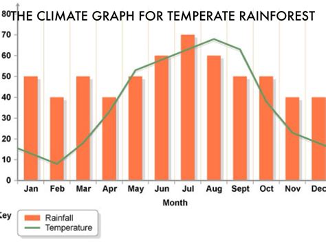 Rainforests With Climate Graph Teacherstrading Com Climate Graphs Worksheet - Climate Graphs Worksheet