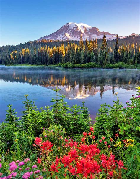 rainier washington