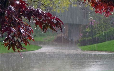 Rainy Season Photos Download The Best Free Rainy Rainy Season Pictures For Colouring - Rainy Season Pictures For Colouring